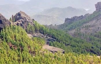 Gran Canaria y Cetaqua colaborarán para implantar la economía circular en el Norte de la isla