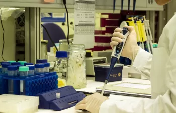 Los protozoos Cryptosporidium y Giardia siguen presentes en los lodos después de su tratamiento