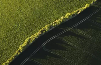 Cuantificar el uso del nitrógeno en la agricultura es clave para reducir la contaminación