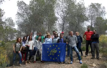 Los bosques bien gestionados secuestran más carbono