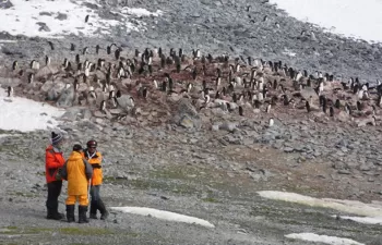 Así afectan los contaminantes emergentes en la Antártida