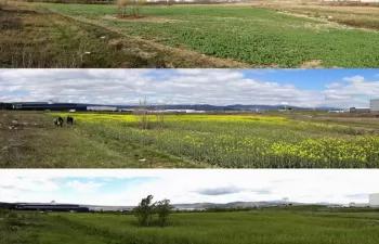 El CEA y 9 socios europeos comienzan un proyecto para recuperación de suelos contaminados en Vitoria-Gasteiz