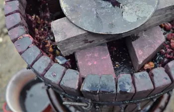 Nuevos avances en la revalorización de los residuos en bodegas vinícolas