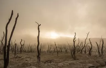 Más de 11.000 científicos de 153 países alertan sobre la situación de emergencia climática