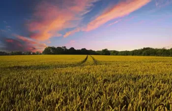 La economía circular debería potenciar la absorción de nutrientes reciclados