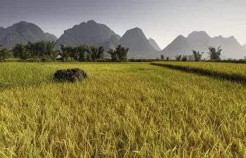 Cuarta Asamblea de la ONU para el Medio Ambiente: soluciones innovadoras para un futuro sostenible