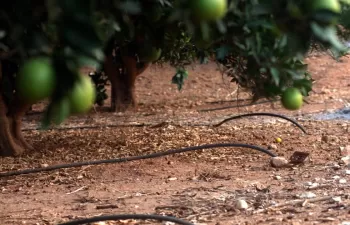 La Generalitat Valenciana actualiza los criterios de las ayudas a regantes para impulsar la eficiencia