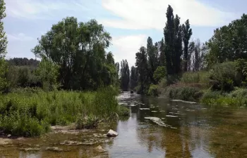 Se abre el plazo para la Convocatorias de Ayudas 2016 de la Fundación Biodiversidad