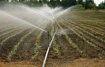 MAGRAMA ofrece a los agricultores \'SIAR app\' para la gestión del riego desde dispositivos móviles