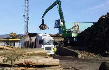 Ence ubicará en Ortigueira su tercer centro de bioenergía en Galicia