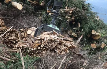 Cantabria convoca ayudas para extraer biomasa forestal residual