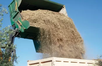 La Junta de Andalucía impulsa una línea integral para la gestión de los restos vegetales de la horticultura