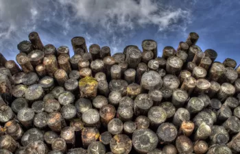 ¿Qué beneficios para la economía global se derivarían de un uso más eficiente de los recursos?