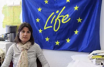 María González: "Cuestionar la necesidad de realizar gestión forestal es contraproducente para nuestros bosques"