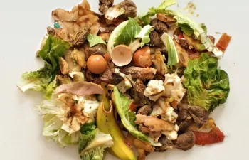 La ciudad italiana de Ferrara acoge la segunda reunión por el proyecto ECOWASTE4FOOD