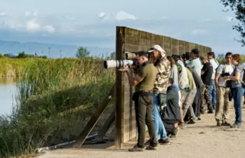 El programa ambiental de voluntariado BiObserva estará presente en el Delta Birding Festival