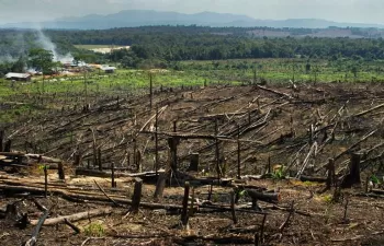 El cambio climático avanza rapidamente pero hay tiempo para revertir parte del fenómeno