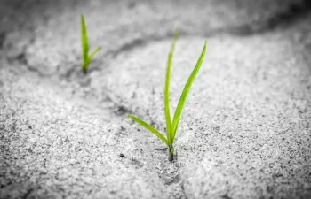 La revolución climática, una oportunidad ineludible