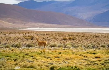 Los impactos del cambio climático en América Central y del Sur