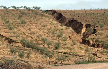 Una quinta parte del territorio español ya se ha desertificado