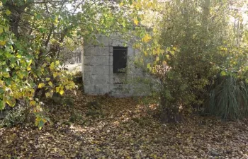 Aquae pone en marcha un proyecto de restauración forestal en las Arcas Reales de Valladolid