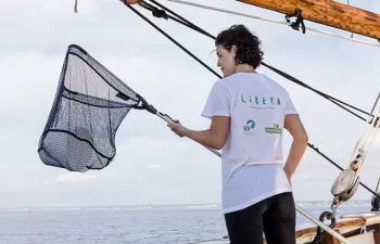 LIBERA llama a preservar los océanos y librarlos de basuraleza