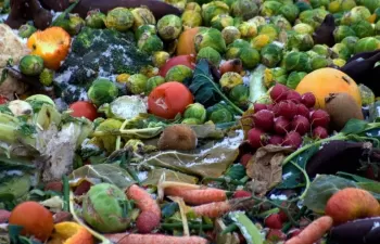 ¿Sabes cuánta agua derrochas con la comida que tiras a la basura?