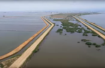 La gestión de SUEZ de los humedales de depuración del Delta del Ebro, ejemplo de desarrollo sostenible