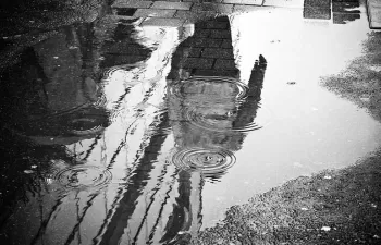 Hacia un cambio radical para la financiación de un futuro bajo en carbono