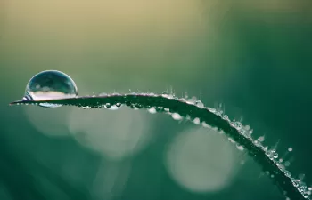 La necesidad de alinear la economía con el planeta