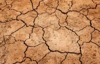 Europa presenta medidas adicionales para apoyar a los agricultores frente a la sequía