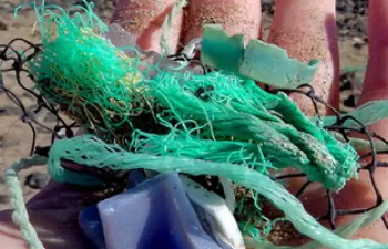 Cada año, entre cinco y trece millones de toneladas de residuos de plástico terminan en los océanos de todo el mundo