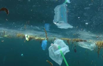 Los plásticos de un solo uso quedarán prohibidos en la Unión Europea en 2021