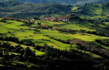 La Diputación de Bizkaia subvencionará el saneamiento de los ayuntamientos con dificultades económicas