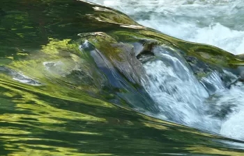 Los afectados por la contaminación del agua por nitratos pueden exigir medidas a los Estados miembros