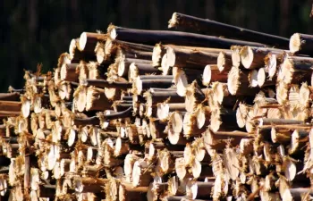 Estrategia de Impulso a la Biomasa en Galicia