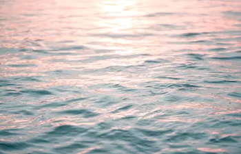 Se dedicarán 30 millones de euros para la protección de la biodiversidad marina que administrarán las CCAA