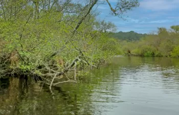 “Invertir en nuestro planeta”, el lema del Foro de la Economía del Agua en el Día de la Tierra