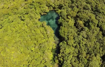 Más de 70 millones de brasileños están expuestos a la falta de agua en 2035