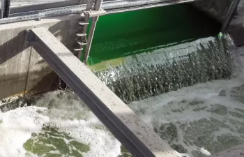 Consulta pública para establecer requisitos mínimos de calidad para el agua reutilizada en la UE