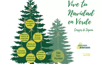 Consejos para una Navidad en Verde