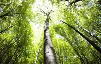 Fundación Alternativas con el apoyo de Ecoembes presenta el Informe de Sostenibilidad 2016