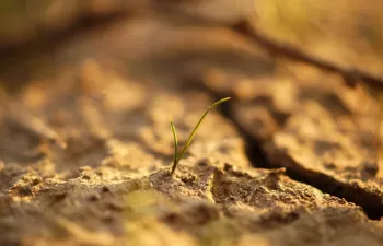 ALADYR celebra el Día Mundial contra la Desertificación exigiendo paliar la escasez hídrica