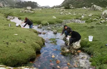 Un sistema remoto para monitorear la contaminación en los ríos de Perú