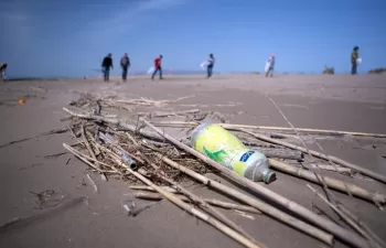Técnicos del Parque Natural del Delta del Ebro recogen 31,3 kilos de basura marina en la playa del Serrallo
