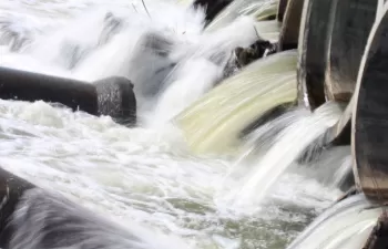 El mundo busca soluciones basadas en la naturaleza para los desafíos hídricos urgentes