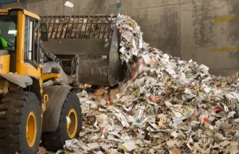 La industria papelera española apuesta por las materias primas locales, renovables y reciclables