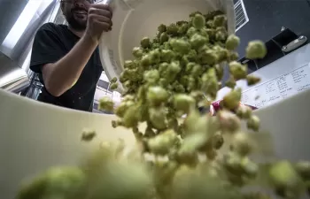 Francia: objetivos de la Ley contra el despilfarro y de economía circular (primera parte)