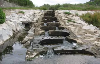 La ACA destinará más de 6 millones de euros para restaurar riberas y mejorar la conectividad fluvial