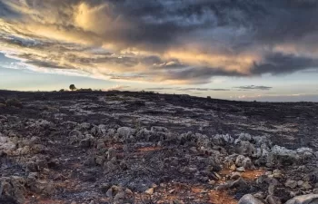 El Gobierno aprueba la Estrategia Nacional de Lucha contra la Desertificación